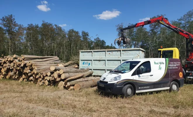 Défrichage et abattage d'arbres sur une parcelle communale, Châtellerault, Arborea
