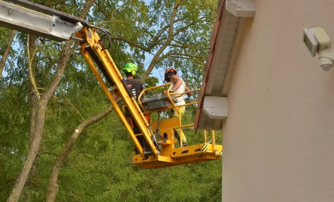 Travaux d'élagage en nacelle, Châtellerault, Arborea