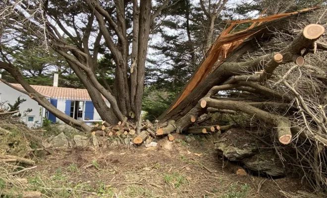 ELAGAGE sur l'île d'Yeu, Châtellerault, Arborea