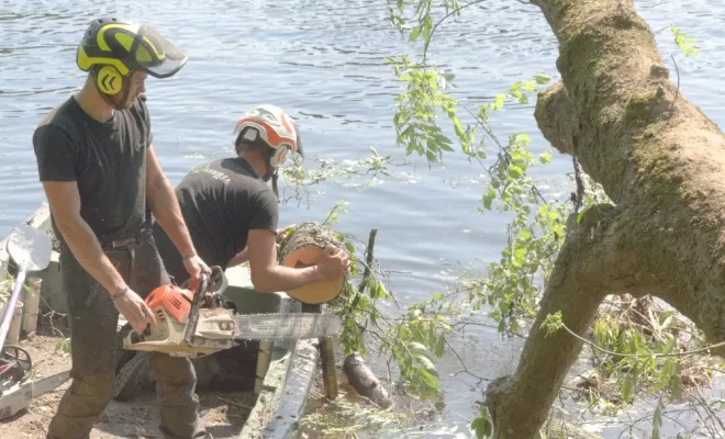 Chantier riviére, Châtellerault, Arborea
