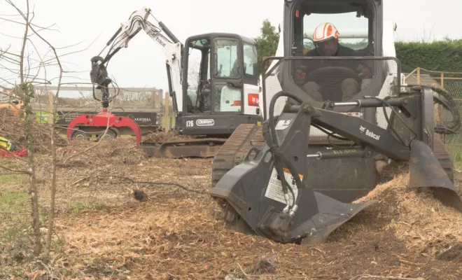 Rognage de souche à Ligugé, Châtellerault, Arborea
