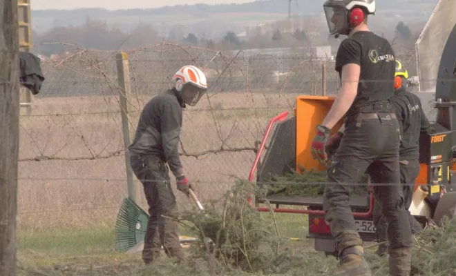 Diverses photos d'élagage et d'abattage, Châtellerault, Arborea