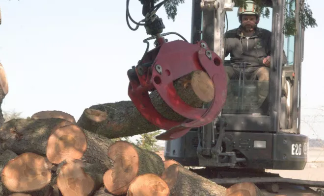 Diverses photos d'élagage et d'abattage, Châtellerault, Arborea