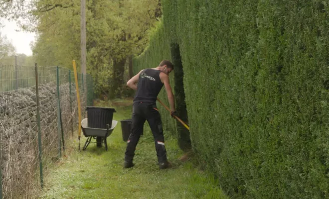 Taille de haie à Chauvigny 86300, Châtellerault, Arborea