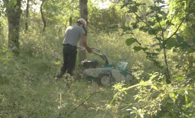 Remise en état de parcelle à Vernon, Châtellerault, Arborea