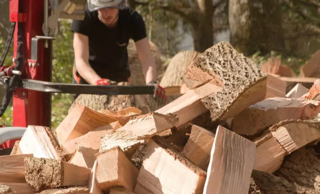 Abattage d'un Frêne à Lathus Saint Remy, Châtellerault, Arborea