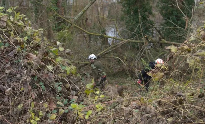 Remise en état d'un terrain en bord de Vienne, Châtellerault, Arborea