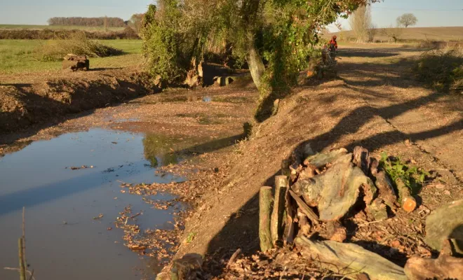 Réouverture de mare, agir pour la biodiversité !, Châtellerault, Arborea