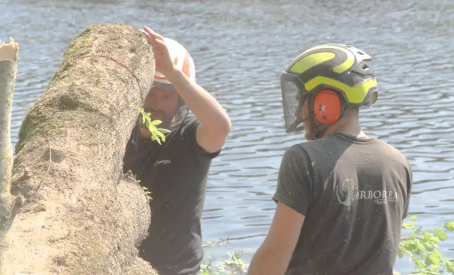 Chantier riviére, Châtellerault, Arborea