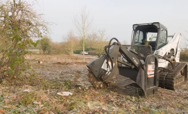 Rognage de souche, Châtellerault, Arborea