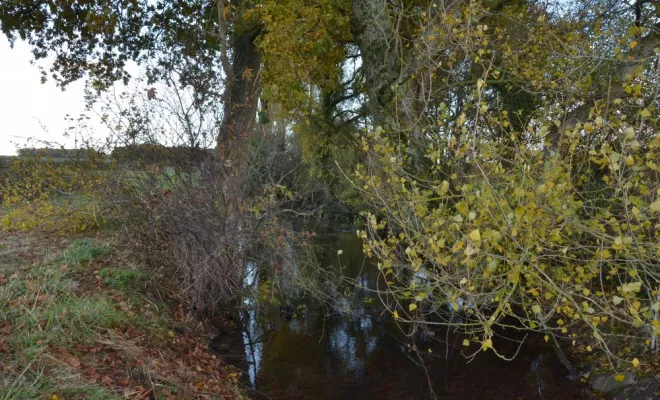 Travaux en espaces naturels, Châtellerault, Arborea