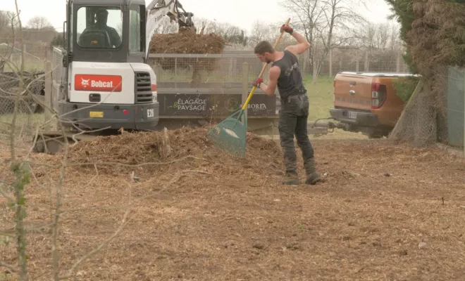 Rognage de souche à Ligugé, Châtellerault, Arborea