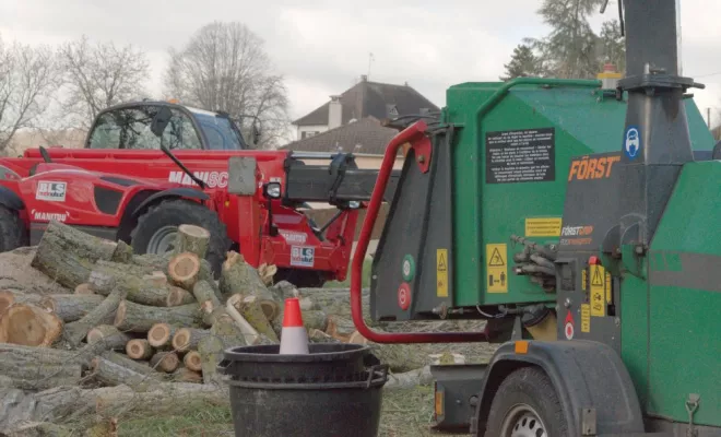 Abattage d'un grand peuplier sur la commune de Oyré, Châtellerault, Arborea
