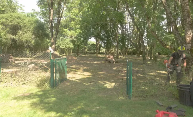 Remise en état de parcelle à Vernon, Châtellerault, Arborea