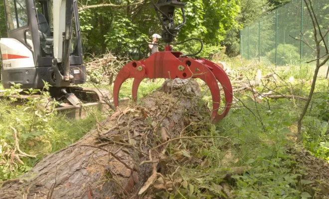 Evacuation d'un gros Pin Noir d'Autriche, Châtellerault, Arborea