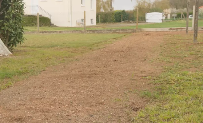 Rognage de 185 souches de Thuyas à Châtellerault, Châtellerault, Arborea
