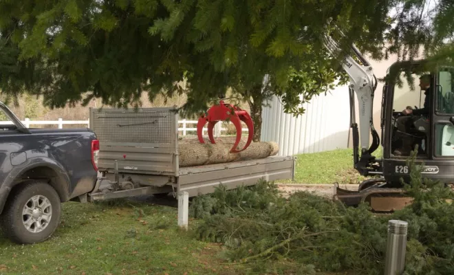 Abattage de Douglas à Lussac les Châteaux, Châtellerault, Arborea