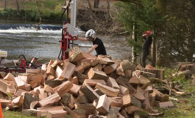 Abattage d'un Frêne à Lathus Saint Remy, Châtellerault, Arborea