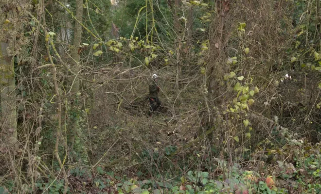 Remise en état d'un terrain en bord de Vienne, Châtellerault, Arborea