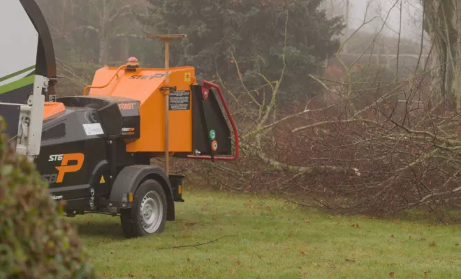 Elagage d'un tilleul à Montamisé, Châtellerault, Arborea