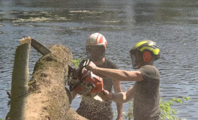 Chantier riviére, Châtellerault, Arborea