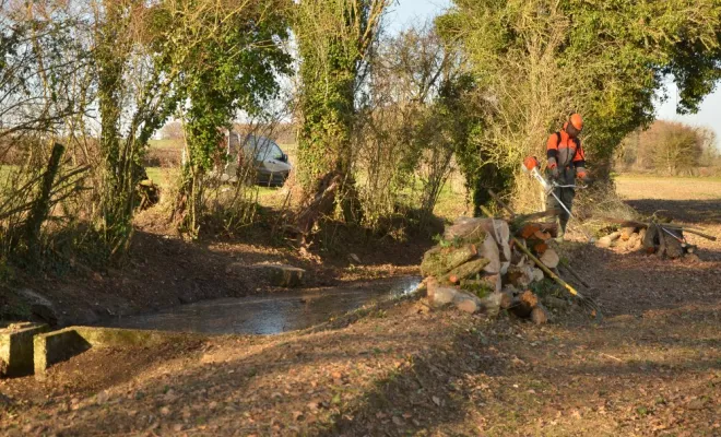 Réouverture de mare, agir pour la biodiversité !, Châtellerault, Arborea