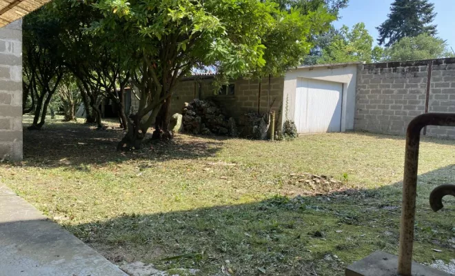 Remise en état de jardin, Châtellerault, Arborea