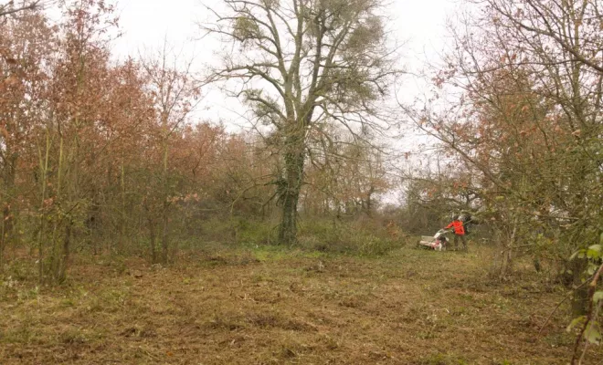 Défrichage de terrain dans les Deux-Sèvres, Châtellerault, Arborea