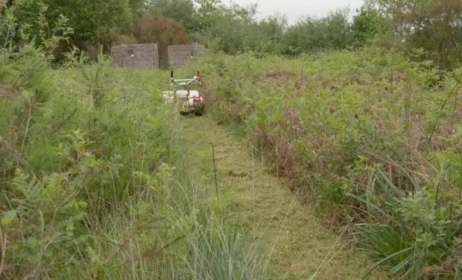 Défrichage avec une broyeuse à fléaux, Châtellerault, Arborea