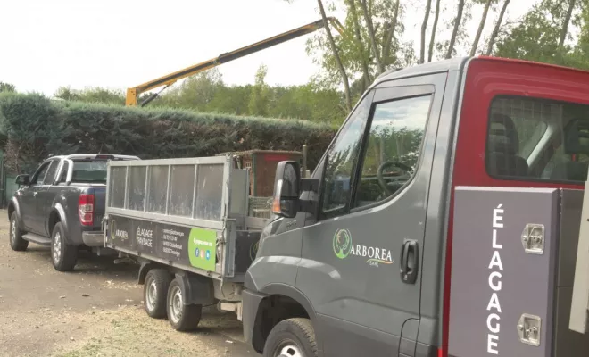 Travaux d'élagage en nacelle, Châtellerault, Arborea