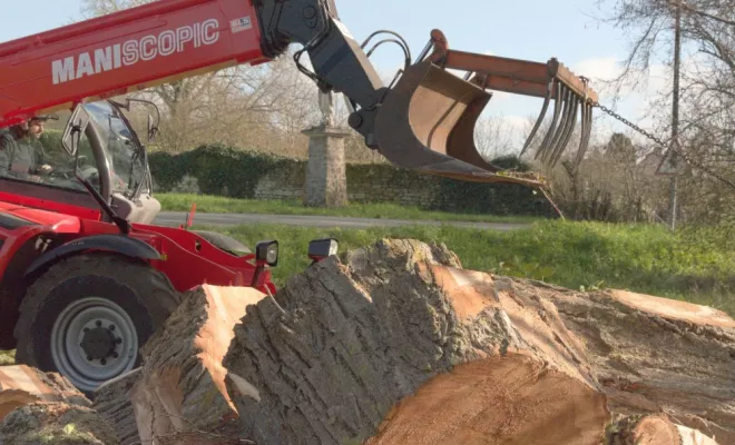 Abattage d'un grand peuplier sur la commune de Oyré, Châtellerault, Arborea