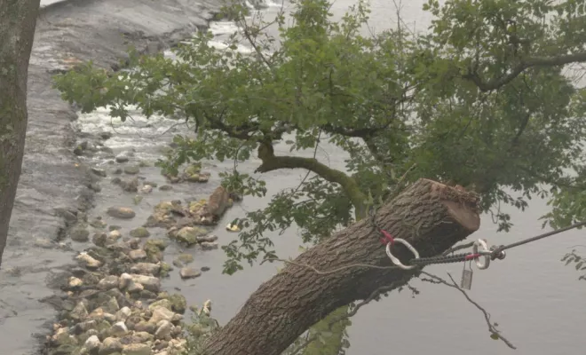 Travaux sur la D749, Châtellerault, Arborea