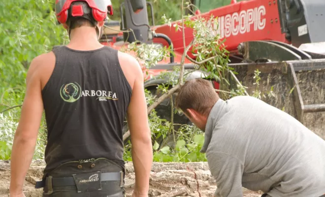 Nettoyage de berge à Civaux, Châtellerault, Arborea