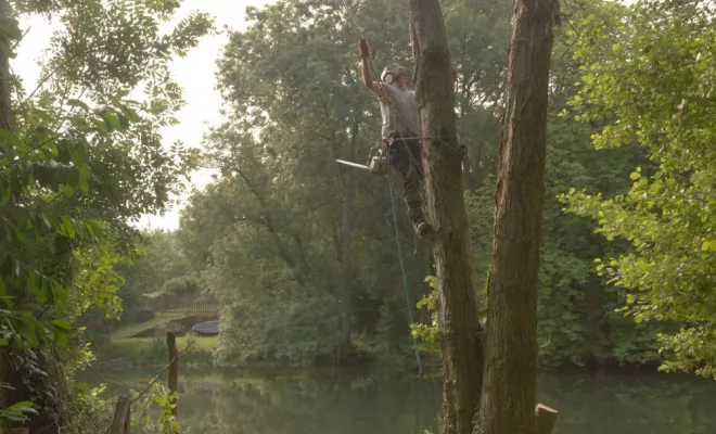 Chantier riviére, Châtellerault, Arborea