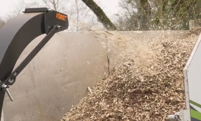 Elagage d'un tilleul à Montamisé, Châtellerault, Arborea