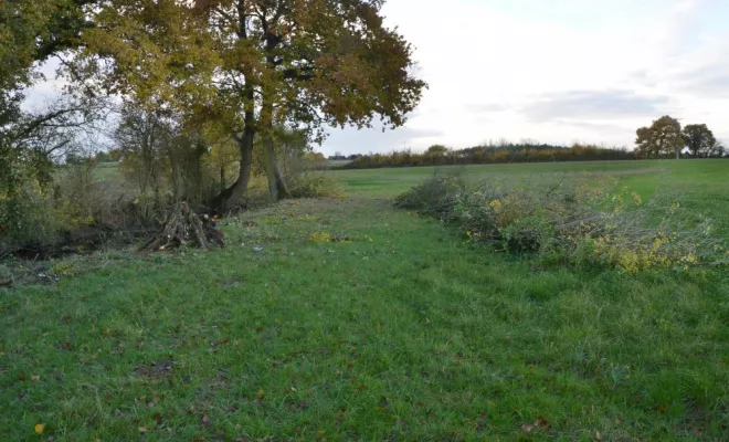 Réouverture de mare, agir pour la biodiversité !, Châtellerault, Arborea
