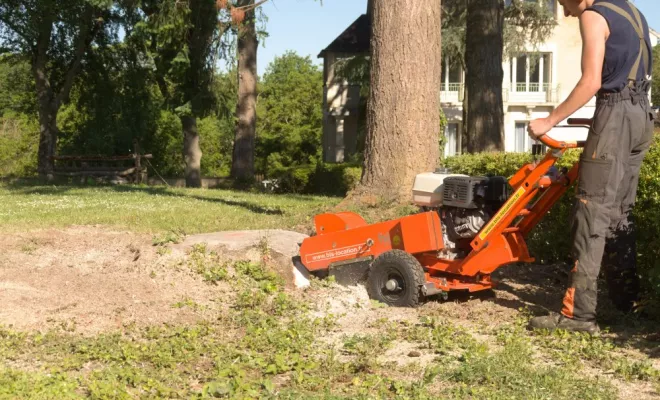 Rognage de souche, Châtellerault, Arborea