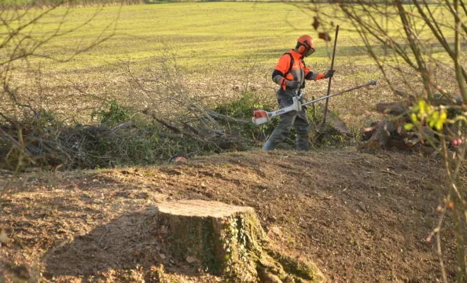 Travaux en espaces naturels, Châtellerault, Arborea