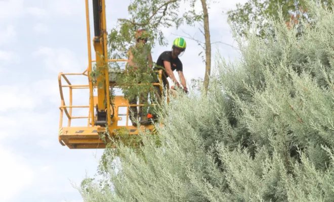 Travaux d'élagage en nacelle, Châtellerault, Arborea