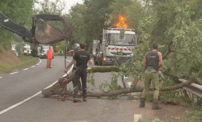 Travaux sur la D749, Châtellerault, Arborea