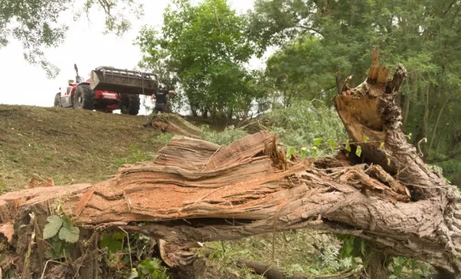Nettoyage de berge à Civaux, Châtellerault, Arborea