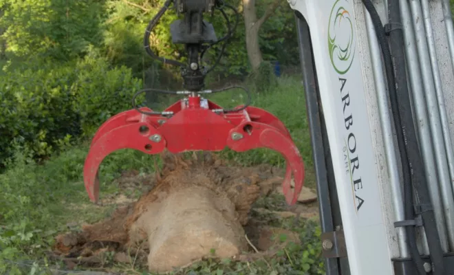Evacuation d'un gros Pin Noir d'Autriche, Châtellerault, Arborea