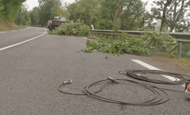 Travaux sur la D749, Châtellerault, Arborea