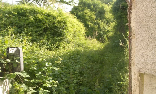Remise en état de jardin, Châtellerault, Arborea