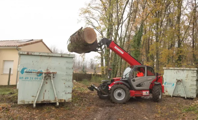 Ehoupage / Abattage de grands chênes, Châtellerault, Arborea