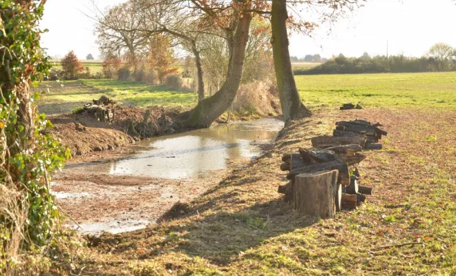 Travaux en espaces naturels, Châtellerault, Arborea