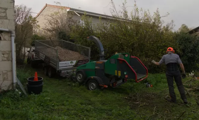 Elagage d'arbres à Chatellerault, Châtellerault, Arborea