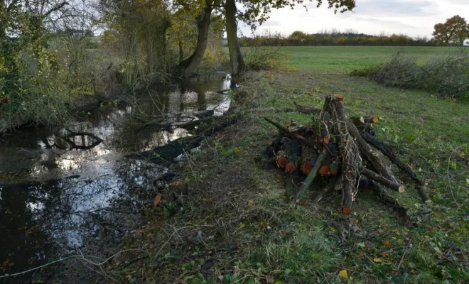 Réouverture de mare, agir pour la biodiversité !, Châtellerault, Arborea