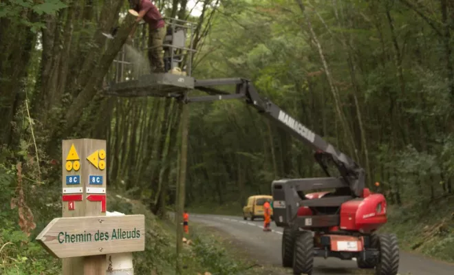 Elagage en nacelle, Châtellerault, Arborea