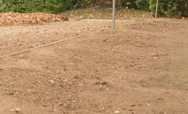 Rognage de souche, Châtellerault, Arborea